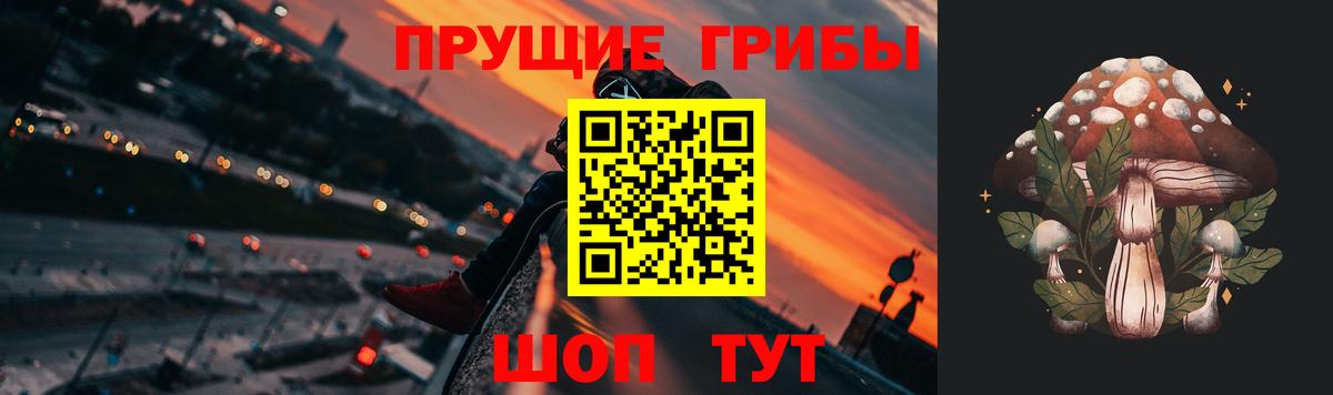 наркошоп  Псилоцибиновые грибы мицелий  Вход с VPN  Камышлов 